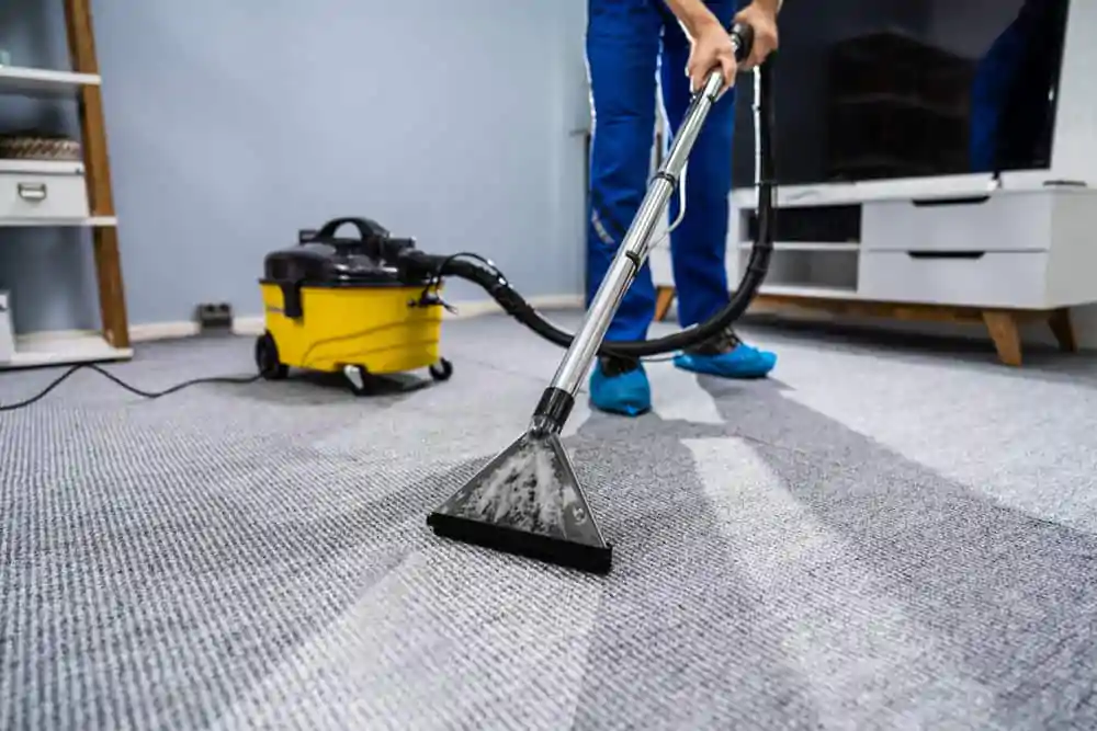 sofa cleaning
