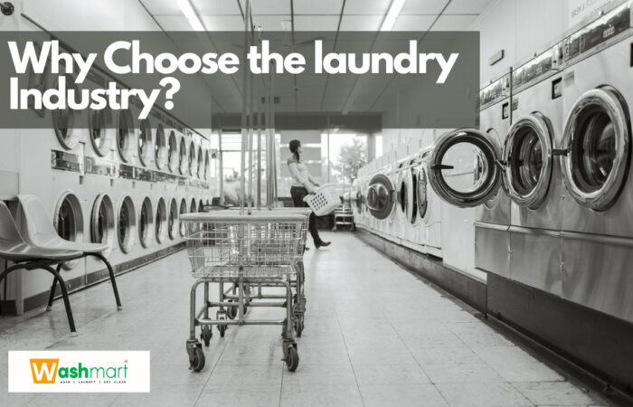 Why choose the laundry industry for startup business