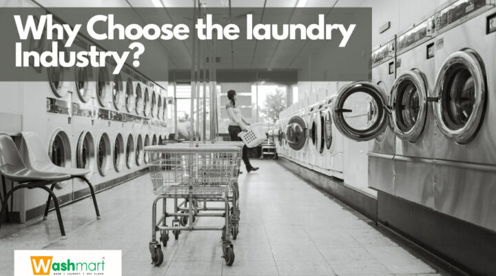 Why choose the laundry industry for startup business