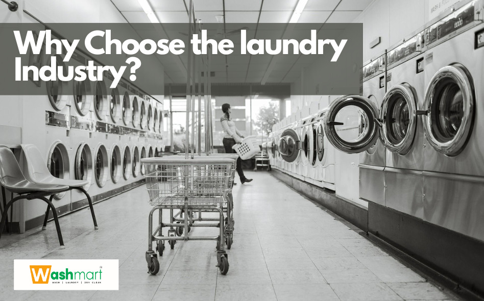 Why choose the laundry industry for startup business