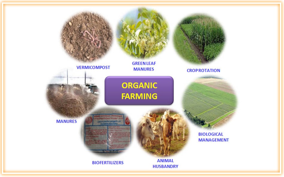 organic farming business