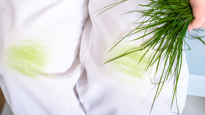 remove grass stains from white clothes