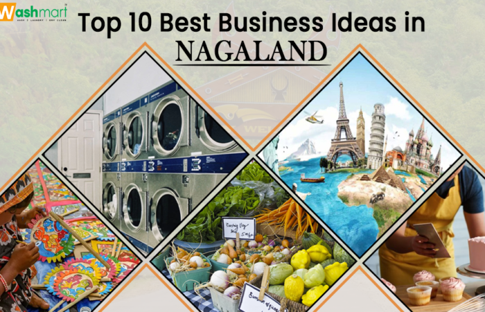 best business ideas in Nagaland