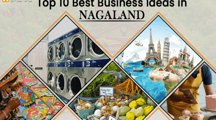 best business ideas in Nagaland