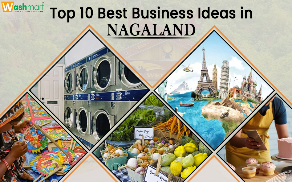 best business ideas in Nagaland