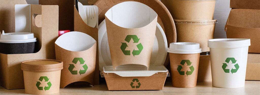 eco-friendly packaging business ideas in nagaland