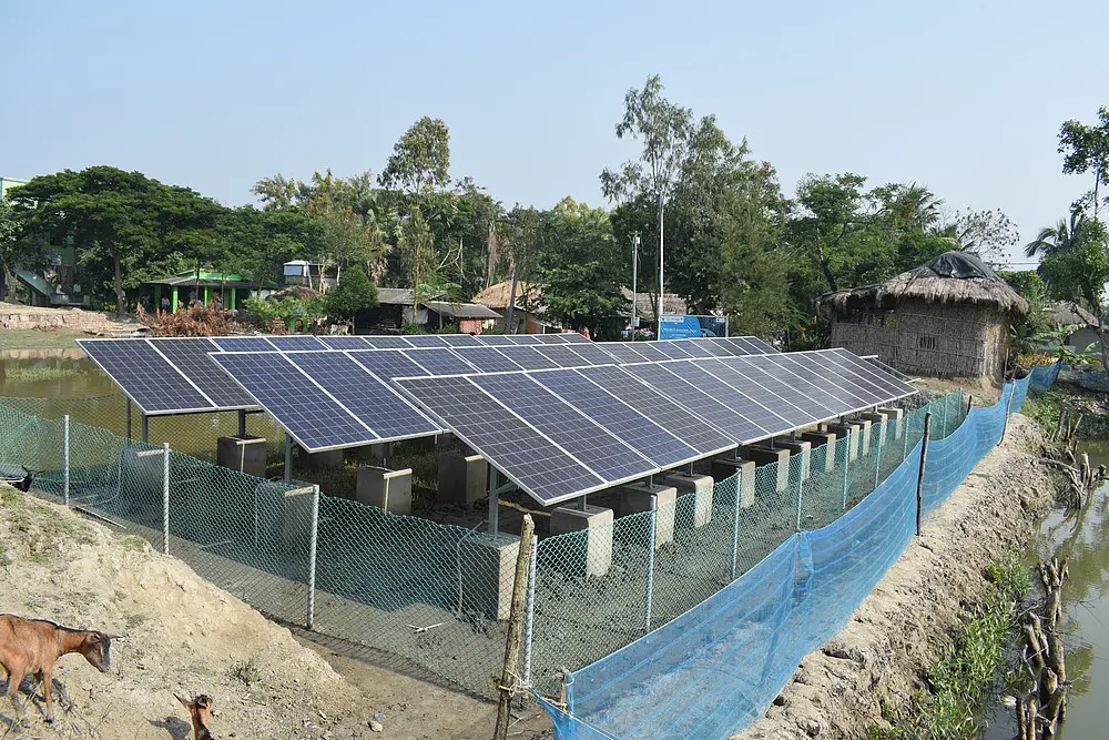 food and beverages processing business ideas in nagaland