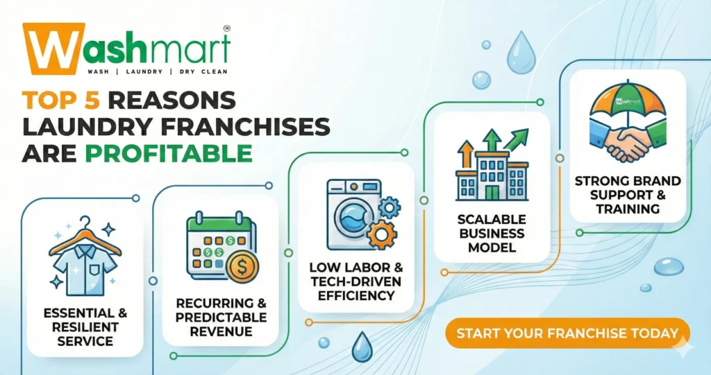 Top 5 Reasons Laundry Franchises Are Profitable