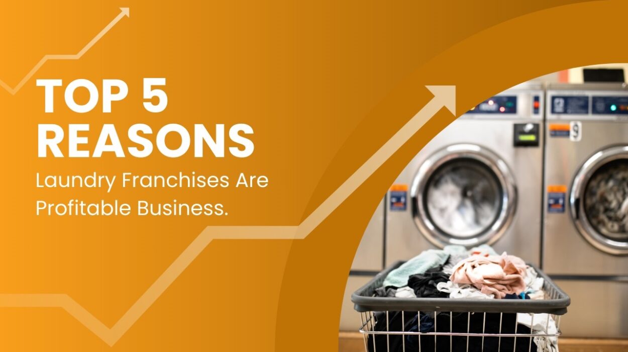 Reasons Laundry Franchises Are Profitable