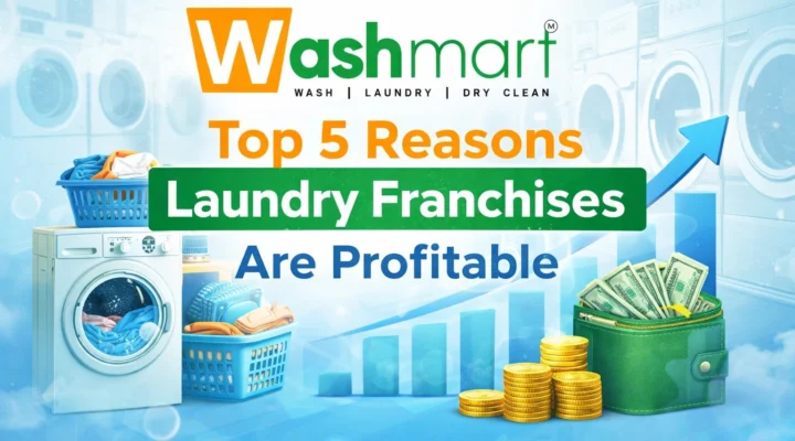Top 5 Reasons Laundry Franchises Profitable
