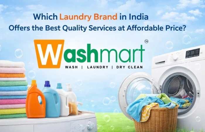 Which Laundry Brand in India Offers the Best Quality Services at Affordable Price