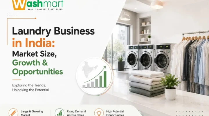 Laundry Business market size in India
